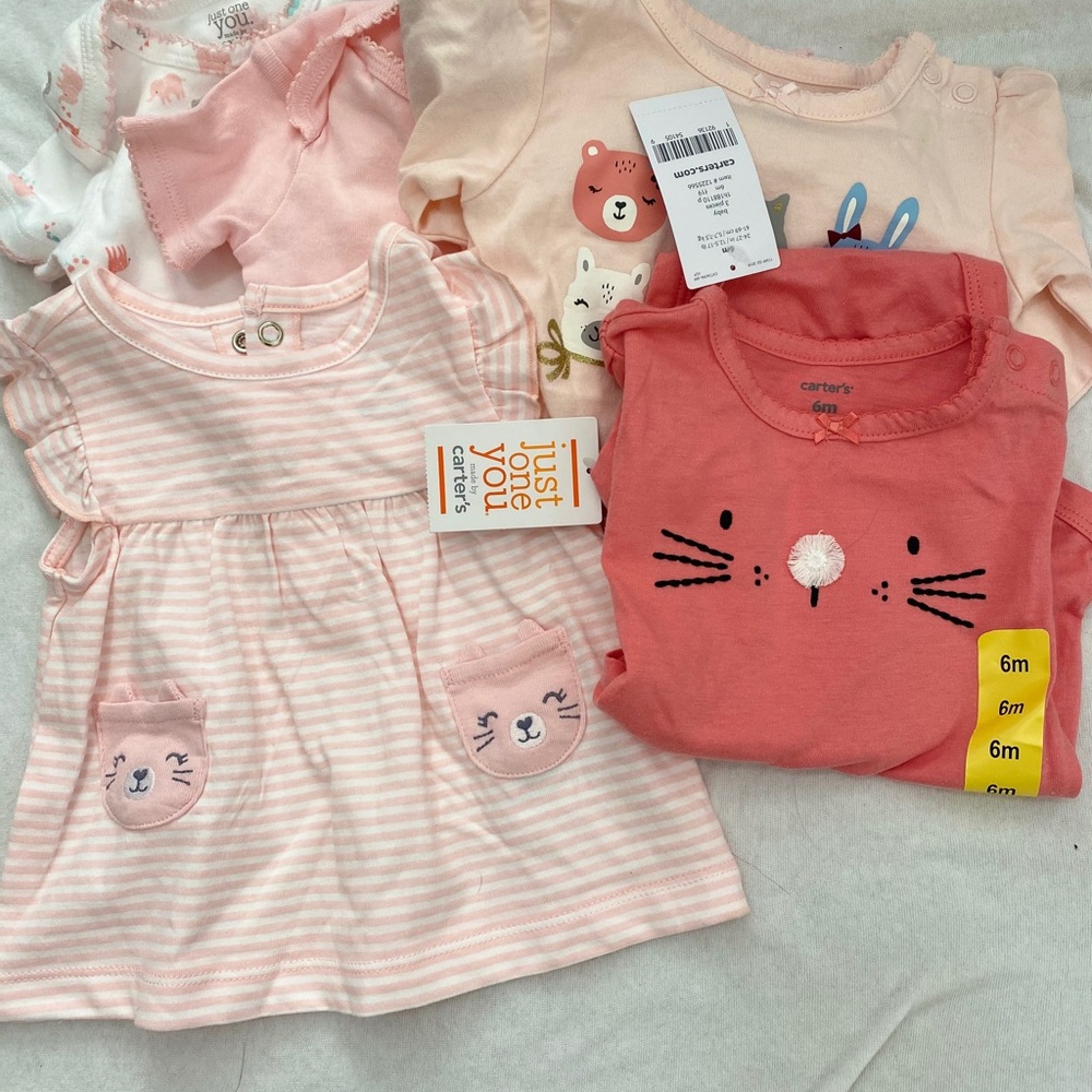 Baby Girl 6 month bundle
